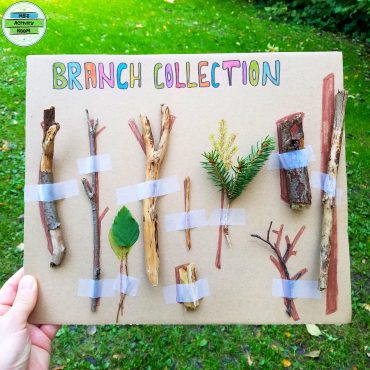 Branch Collection